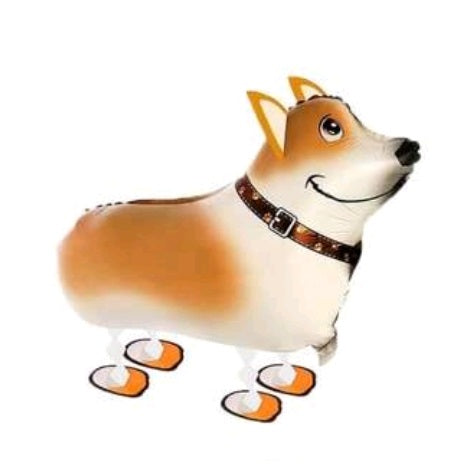 Sétáló Corgi